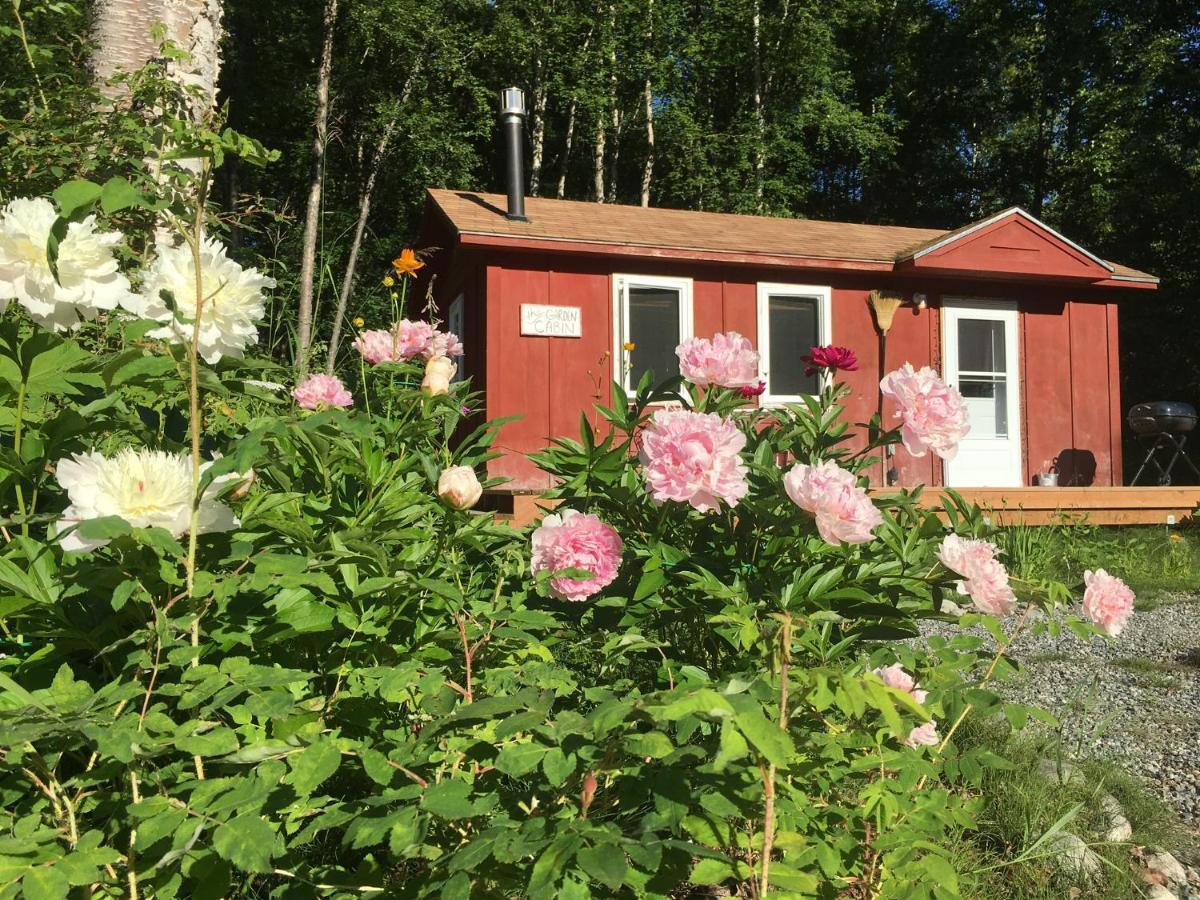 Trapper John'S Cabin & Cottages Talkeetna Exterior foto