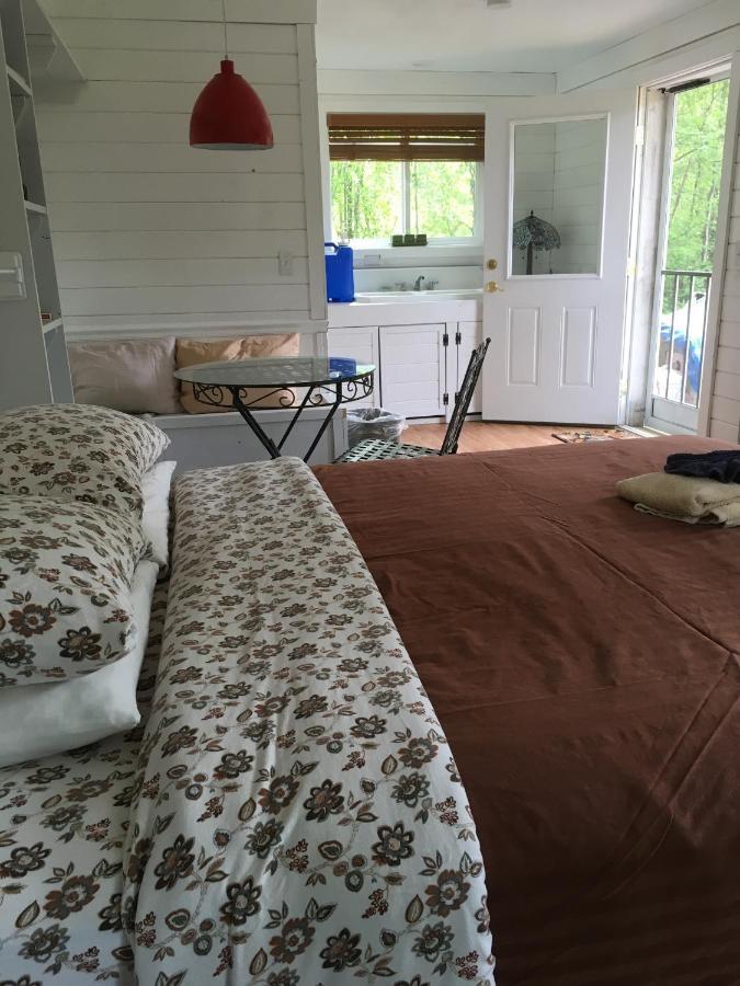 Trapper John'S Cabin & Cottages Talkeetna Exterior foto