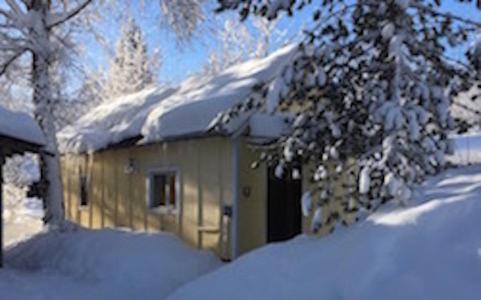 Trapper John'S Cabin & Cottages Talkeetna Exterior foto